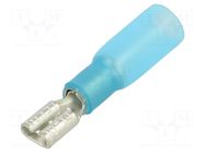 Terminal: flat; 4.8mm; 0.8mm; female; 1.5÷2.5mm2; crimped NINIGI