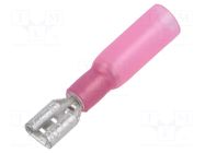 Terminal: flat; 4.8mm; 0.8mm; female; 0.5÷1.5mm2; crimped NINIGI