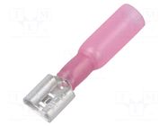 Terminal: flat; 6.3mm; 0.8mm; female; 0.5÷1.5mm2; crimped NINIGI