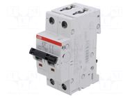 Circuit breaker; 400VAC; 400VDC; Inom: 32A; Poles: 2; Charact: B ABB