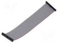 Ribbon cable with IDC connectors; IDC,both sides; 152.4mm; 6" SAMTEC