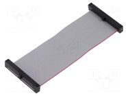 Ribbon cable with IDC connectors; IDC,both sides; 76.2mm; 3" SAMTEC