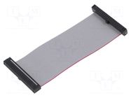 Ribbon cable with IDC connectors; IDC,both sides; 76.2mm; 3" SAMTEC