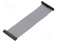 Ribbon cable with IDC connectors; IDC,both sides; 101.6mm; 4" SAMTEC