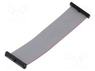 Ribbon cable with IDC connectors; IDC,both sides; 114.3mm; 4.5" SAMTEC