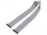 Ribbon cable with IDC connectors; IDC,both sides; 444.5mm SAMTEC