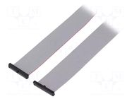 Ribbon cable with IDC connectors; IDC,both sides; 1016mm; 40" SAMTEC