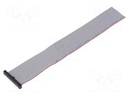 Ribbon cable with IDC connectors; IDC,wires; Tape ph: 0.64mm SAMTEC