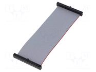 Ribbon cable with IDC connectors; IDC,both sides; 101.6mm; 4" SAMTEC