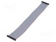 Ribbon cable with IDC connectors; IDC,both sides; 228.6mm; 9" SAMTEC