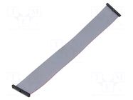 Ribbon cable with IDC connectors; IDC,both sides; 250.19mm SAMTEC
