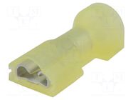 Terminal: flat; 6.3mm; 0.8mm; female; 3÷6mm2; crimped; for cable TE Connectivity