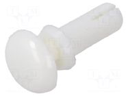 Rivet; polyamide; L.rivet: 7.5mm; Panel cutout diam: 3.1mm; white DREMEC