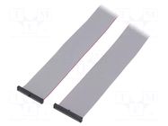 Ribbon cable with IDC connectors; IDC,both sides; 609.6mm; 24" SAMTEC