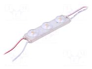 LED; white warm; 7000K; 1.08W; 174lm; IP67; 175°; No.of diodes: 3 POS