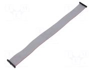 Ribbon cable with IDC connectors; IDC,both sides; 304.8mm; 12" SAMTEC