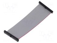 Ribbon cable with IDC connectors; IDC,both sides; 101.6mm; 4" SAMTEC