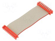 Ribbon cable with connectors; Tape ph: 1.27mm; PIN: 18; 2x9 TE Connectivity