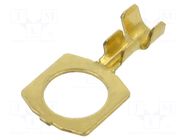 Tip: ring; M10 IMP