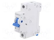 Circuit breaker; 230/400VAC; Inom: 63A; Poles: 1; Charact: C; 4.5kA HONGFA RELAY