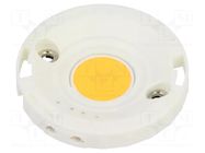 Power LED; white; COB; 30.3W; 4000K; 4012lm; CRImin: 90; 900mA; SLE TRIDONIC