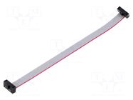 Ribbon cable with IDC connectors; IDC,both sides; 123.19mm SAMTEC