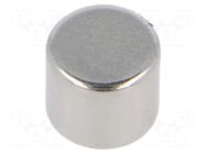 Magnet: permanent; neodymium; 12N; Ø: 7mm; H: 6mm ELESA+GANTER