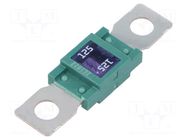 Fuse: fuse; 125A; 32VDC; automotive; 68mm; M8 screw; 68x18.3mm ELED