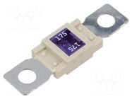 Fuse: fuse; 175A; 32VDC; automotive; 68mm; M8 screw; 68x18.3mm ELED