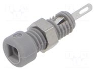 Connector: 2mm banana; socket; 6A; Overall len: 21mm; grey; MBI 1 HIRSCHMANN T&M