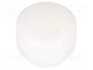 Hammer tip; 10g; 25mm; round; polyamide; SUPERCRAFT HALDER