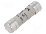 Fuse: fuse; 45A; 500VAC; gG; cylindrical,industrial; 14x51mm HAGER