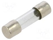 Fuse: fuse; 1A; 250VAC; time-lag; cylindrical,glass; 5.2x20mm; FST SCHURTER