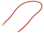 Cable with crimped terminals; H05V-K; 1mm2; red; 250mm; ring CHEVAL