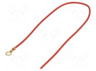 Cable with crimped terminals; H05V-K; 0.5mm2; red; 250mm; ring CHEVAL