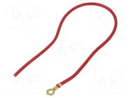 Cable with crimped terminals; H07V-K; 1.5mm2; red; 250mm; ring CHEVAL