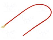 Cable with crimped terminals; H05V-K; 0.5mm2; red; 250mm; ring CHEVAL