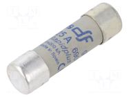 Fuse: fuse; 25A; 690VAC; gR; ceramic,cylindrical,industrial DF ELECTRIC