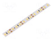 LED tape; white warm; LED/m: 120; 8mm; IP20; 120°; 9.6W/m; CRImin: 80 ESPE