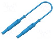 Test lead; 70VDC; 33VAC; 12A; banana plug 4mm,both sides; Len: 1m ELECTRO-PJP