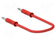 Test lead; 60VDC; 30VAC; 6A; banana plug 2mm,both sides; Len: 0.5m ELECTRO-PJP