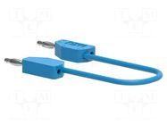 Test lead; 60VDC; 30VAC; 6A; banana plug 2mm,both sides; Len: 0.5m ELECTRO-PJP
