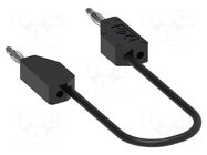 Test lead; 60VDC; 30VAC; 6A; banana plug 2mm,both sides; Len: 0.1m ELECTRO-PJP
