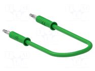 Test lead; 60VDC; 30VAC; 6A; banana plug 2mm,both sides; Len: 0.5m ELECTRO-PJP