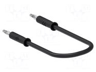 Test lead; 60VDC; 30VAC; 6A; banana plug 2mm,both sides; Len: 0.5m ELECTRO-PJP