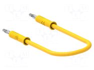 Test lead; 60VDC; 30VAC; 6A; banana plug 2mm,both sides; Len: 0.5m ELECTRO-PJP