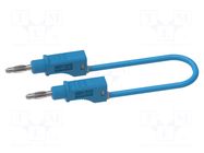 Test lead; 60VDC; 30VAC; 12A; banana plug 4mm,both sides; Len: 2m ELECTRO-PJP