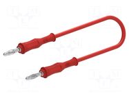 Test lead; 60VDC; 30VAC; 20A; banana plug 4mm,both sides; red ELECTRO-PJP