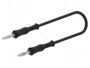 Test lead; 60VDC; 30VAC; 36A; banana plug 4mm,both sides; black ELECTRO-PJP