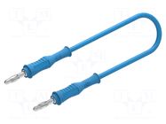 Test lead; 60VDC; 30VAC; 12A; probe tip,banana plug 4mm; blue ELECTRO-PJP